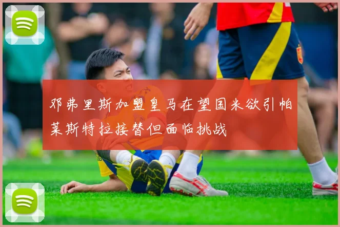 邓弗里斯加盟皇马在望国米欲引帕莱斯特拉接替但面临挑战