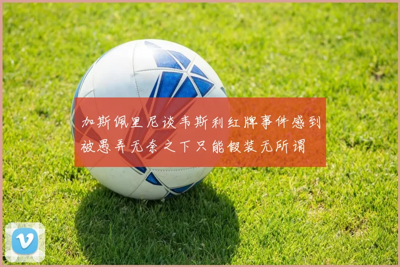 加斯佩里尼谈韦斯利红牌事件感到被愚弄无奈之下只能假装无所谓